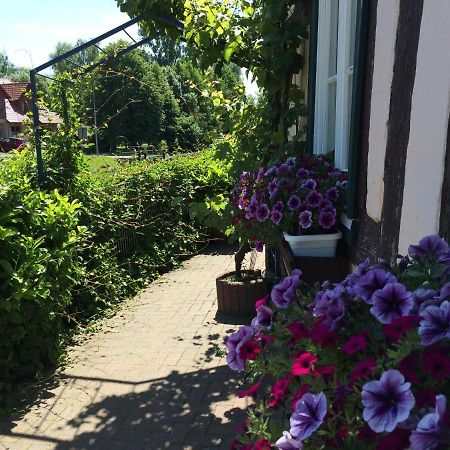 Appartements An Der Schleuse Lübz Exteriér fotografie