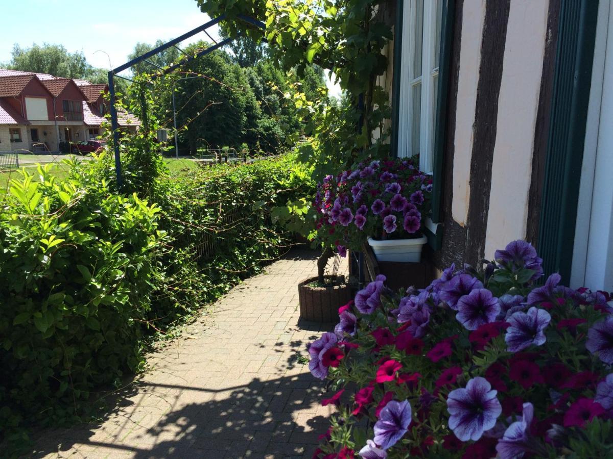 Appartements An Der Schleuse Lübz Exteriér fotografie